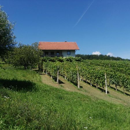 Apartma Gorca Plevnik Buce Exteriér fotografie