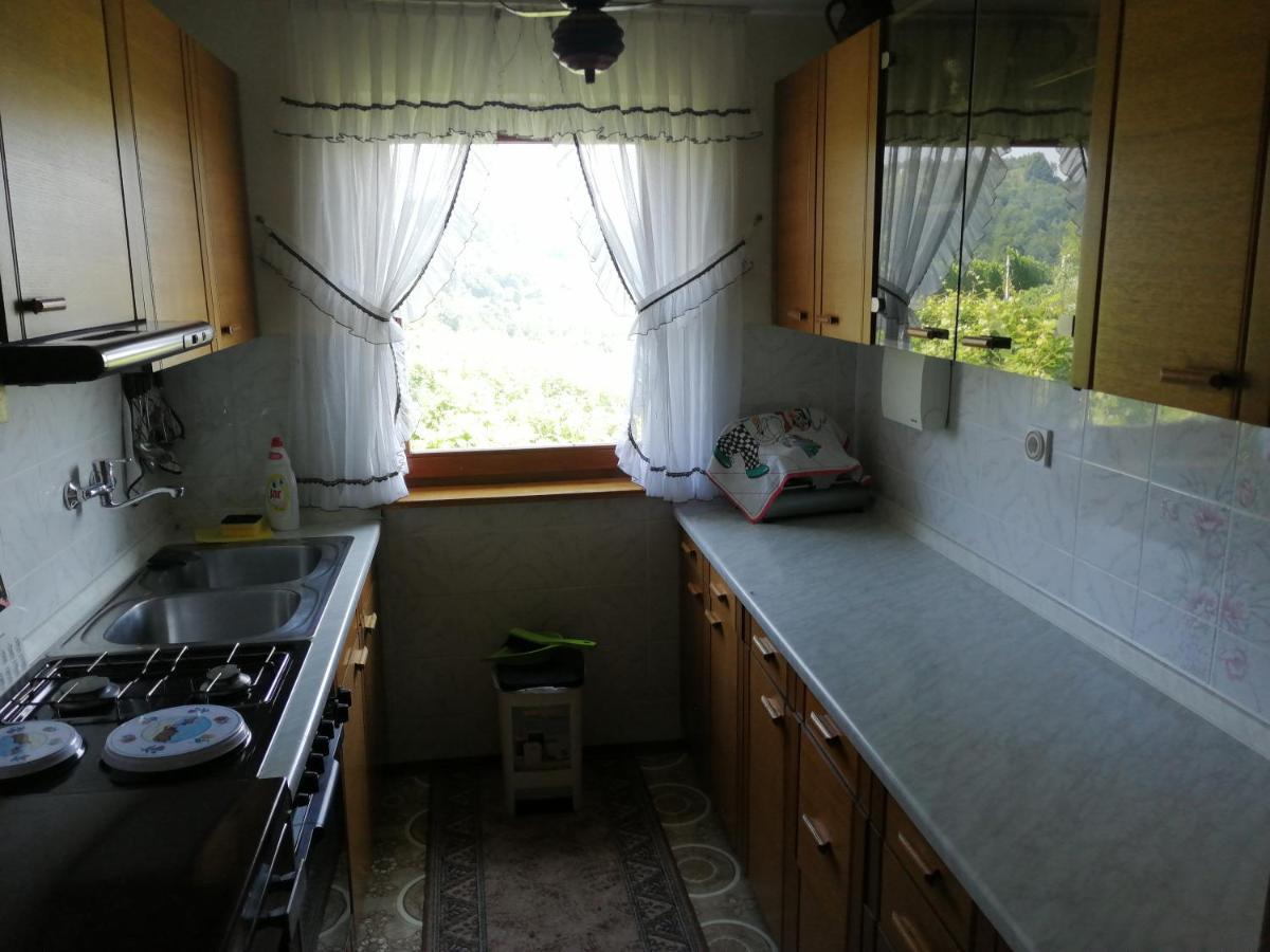 Apartma Gorca Plevnik Buce Exteriér fotografie